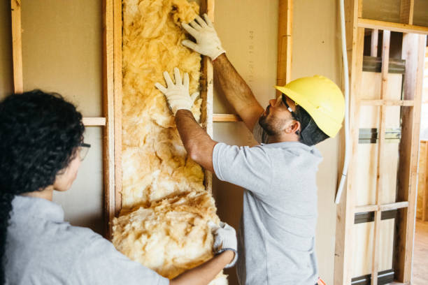 Best Spray Foam Insulation  in Blawnox, PA