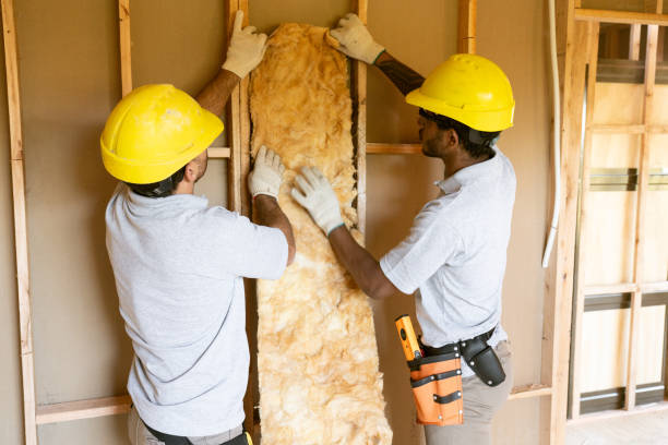 Best Commercial Insulation Services  in Blawnox, PA